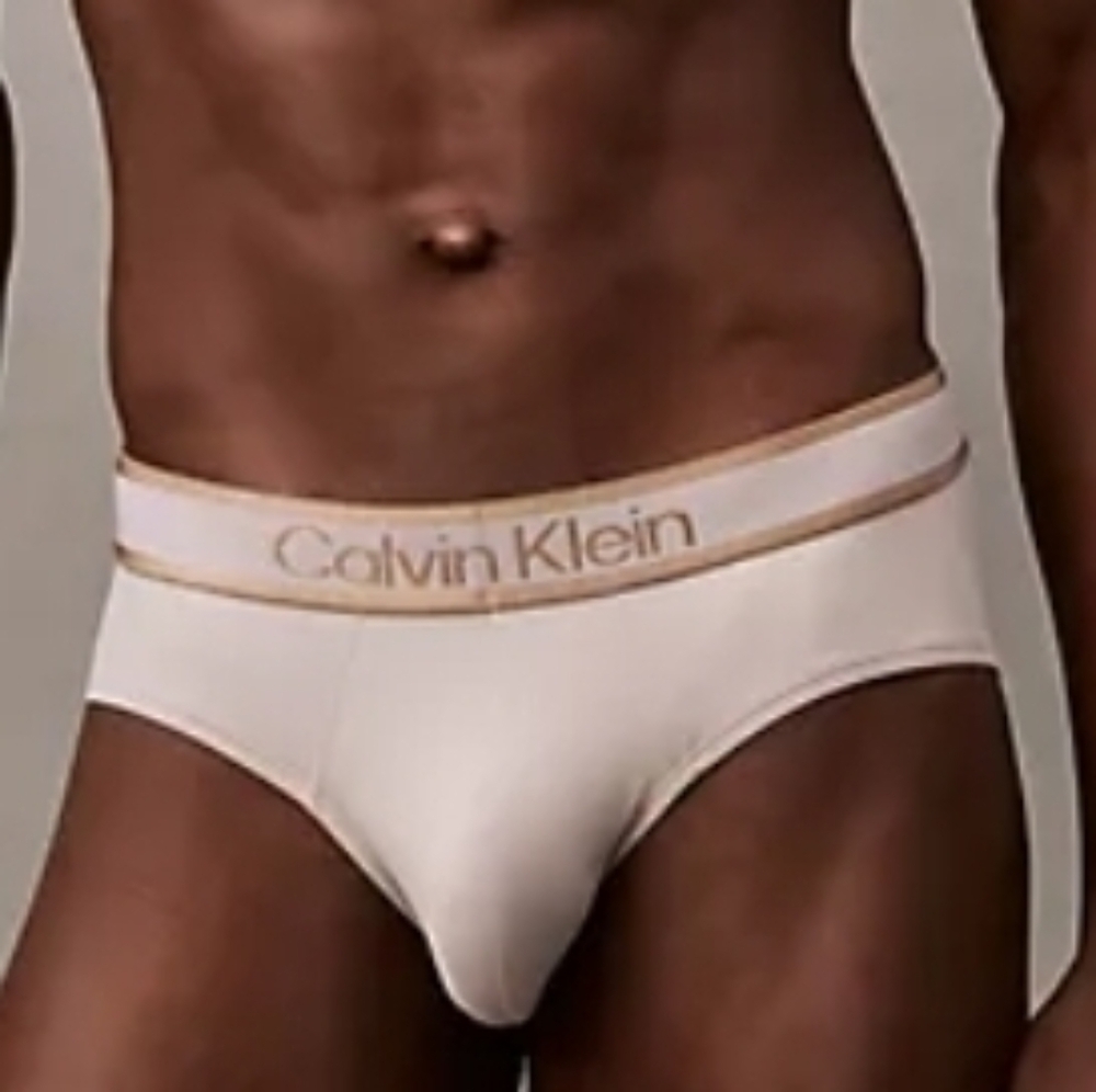 Calvin Klein Men's Tonal Logo Hip Brief Ash - Picture 2 of 3